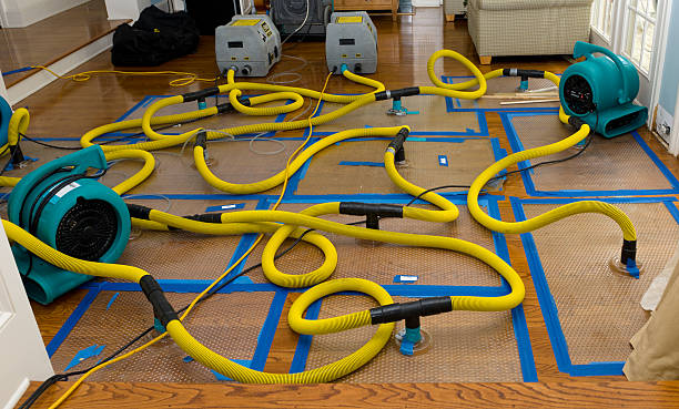 Professional Water Damage Repair technician working in Poland, ME